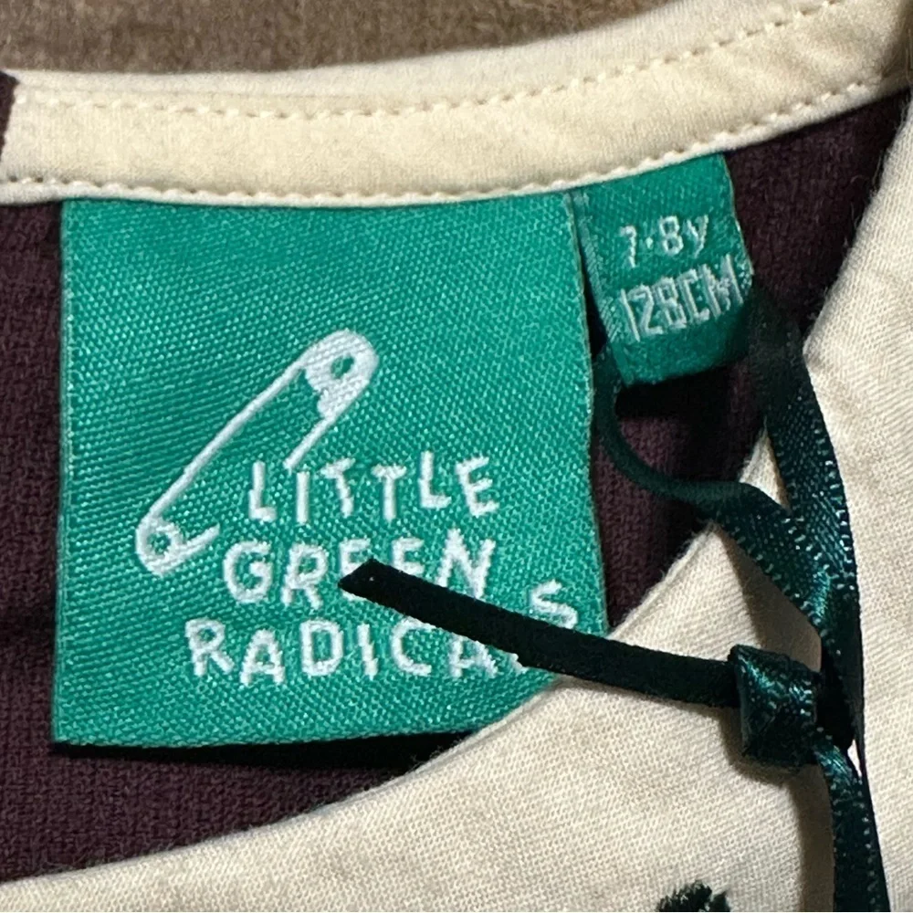 Little Green Radicals Plum Button Down Dress